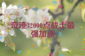 奇迹32000点战士最强加点