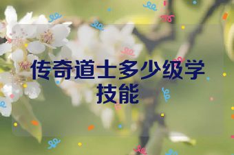 传奇道士多少级学技能