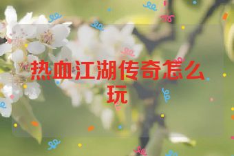 热血江湖传奇怎么玩