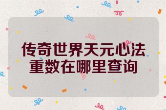 传奇世界天元心法重数在哪里查询