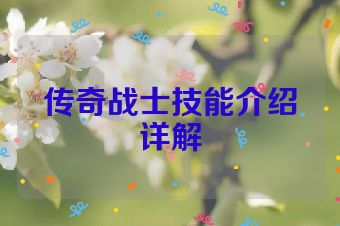 传奇战士技能介绍详解