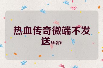 热血传奇微端不发送wav