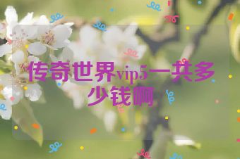 传奇世界vip5一共多少钱啊