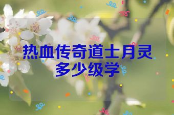 热血传奇道士月灵多少级学