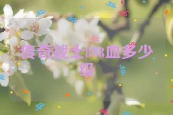 传奇战士888血多少级
