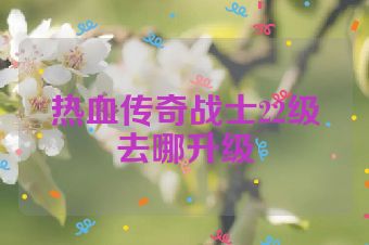 热血传奇战士22级去哪升级