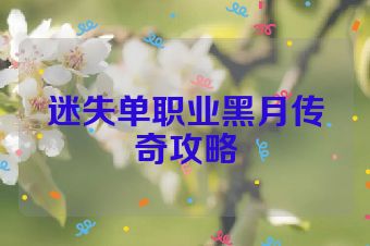 迷失单职业黑月传奇攻略