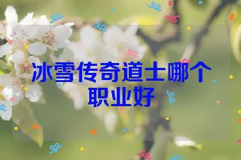 冰雪传奇道士哪个职业好