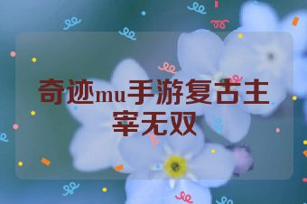 奇迹mu手游复古主宰无双