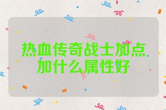 热血传奇战士加点加什么属性好