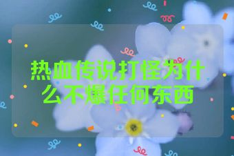 热血传说打怪为什么不爆任何东西