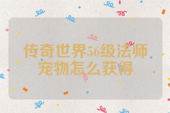 传奇世界56级法师宠物怎么获得