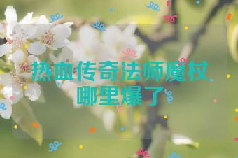 热血传奇法师魔杖哪里爆了