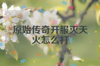 原始传奇开服灭天火怎么打