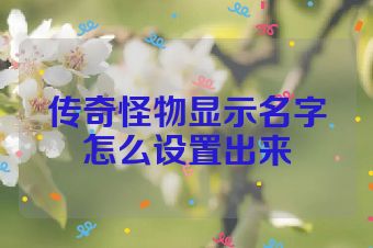 传奇怪物显示名字怎么设置出来