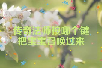 传奇法师按哪个键把宝宝召唤过来