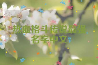 热血格斗传说最强名字中文