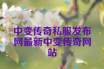中变传奇私服发布网最新中变传奇网站