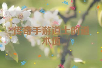 传奇手游道士的道术值