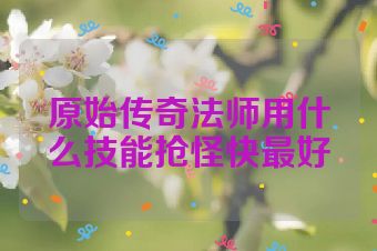 原始传奇法师用什么技能抢怪快最好