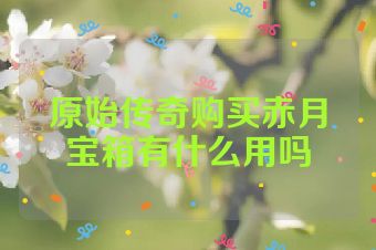原始传奇购买赤月宝箱有什么用吗