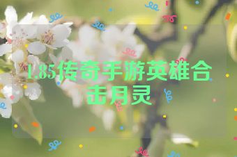 1.85传奇手游英雄合击月灵