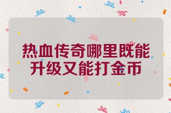 热血传奇哪里既能升级又能打金币