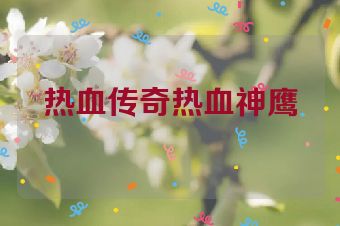 热血传奇热血神鹰