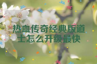 热血传奇经典版道士怎么升级最快