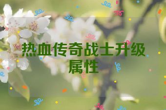 热血传奇战士升级属性