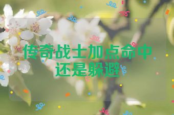传奇战士加点命中还是躲避
