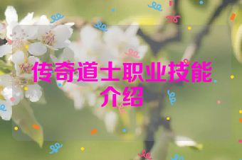 传奇道士职业技能介绍