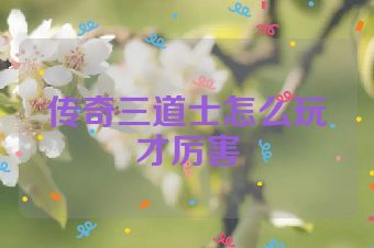 传奇三道士怎么玩才厉害