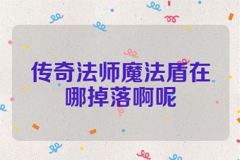 传奇法师魔法盾在哪掉落啊呢