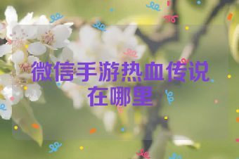 微信手游热血传说在哪里