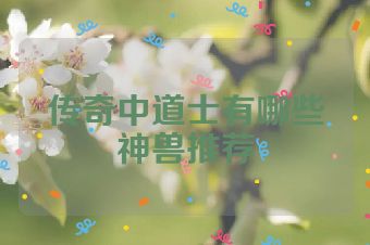 传奇中道士有哪些神兽推荐