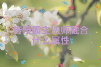 传奇霸主法师融合什么属性