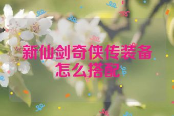 新仙剑奇侠传装备怎么搭配
