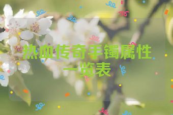 热血传奇手镯属性一览表