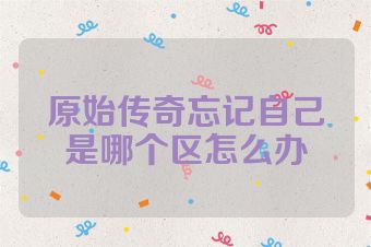 原始传奇忘记自己是哪个区怎么办