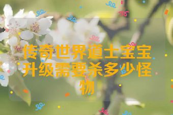 传奇世界道士宝宝升级需要杀多少怪物