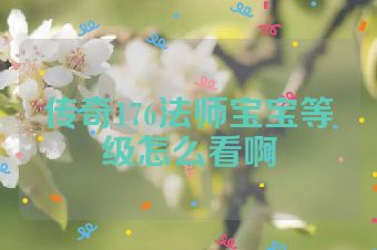 传奇176法师宝宝等级怎么看啊