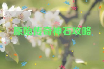 原始传奇神石攻略