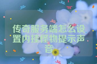 传奇服务端怎么设置内挂怪物提示声音