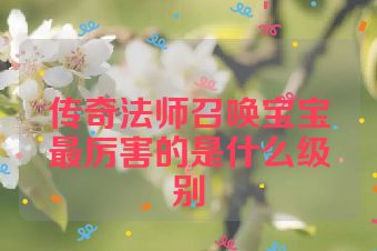 传奇法师召唤宝宝最厉害的是什么级别