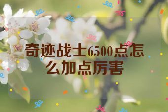 奇迹战士6500点怎么加点厉害