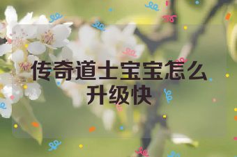 传奇道士宝宝怎么升级快