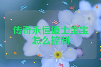 传奇永恒道士宝宝怎么控制