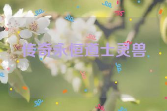 传奇永恒道士灵兽