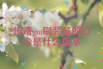 传奇gm刷装备的口令是什么版本